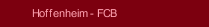 Hoffenheim - FCB