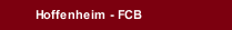 Hoffenheim - FCB
